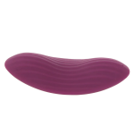 Edeny Panty Vibe with App Control